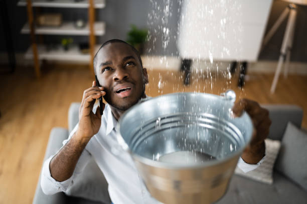 Best Mold removal after water damage  in Pine Island, TX