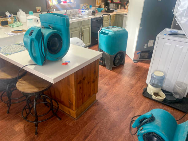 Best Water damage cleanup near me  in Pine Island, TX