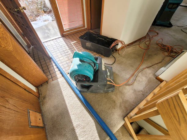 Best Local water damage restoration  in Pine Island, TX