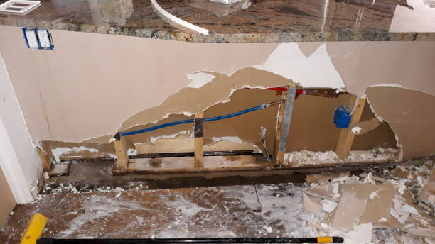 Best Water damage contractors near me  in Pine Island, TX