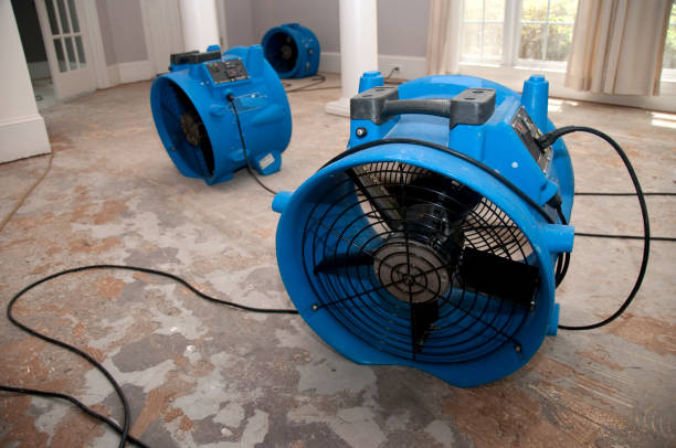 Pine Island, TX Water damage restoration Company