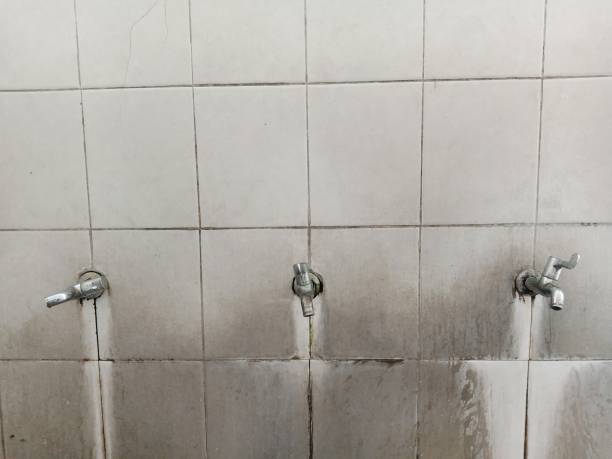 Best Water damage restoration near me  in Pine Island, TX