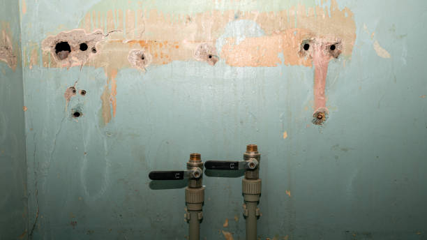 Best Basement water damage restoration  in Pine Island, TX