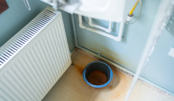Best Flood damage cleanup  in Pine Island, TX
