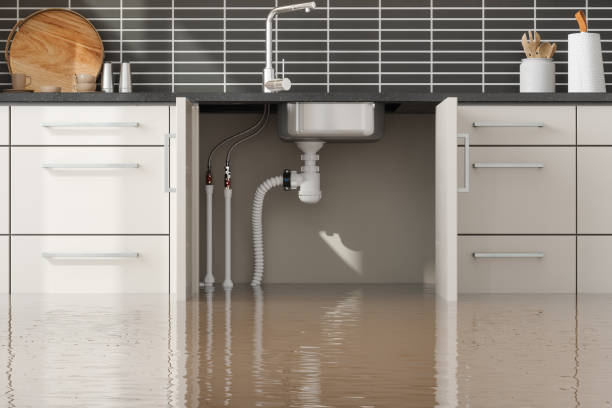Sewage cleanup and water damage restoration in Pine Island, TX