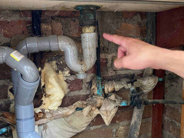 Best Ceiling water damage repair  in Pine Island, TX