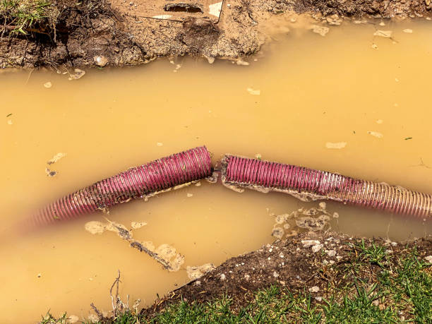 Best Water damage restoration experts  in Pine Island, TX