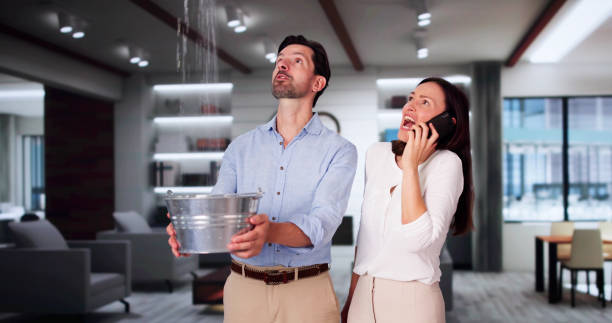 Best 24-hour water damage restoration  in Pine Island, TX