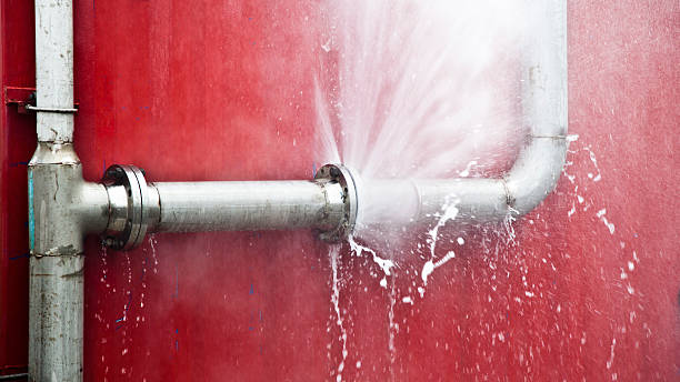 Best Carpet water damage restoration  in Pine Island, TX